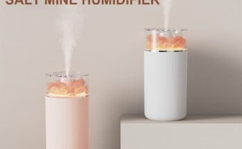 Salt Mine Humidifier